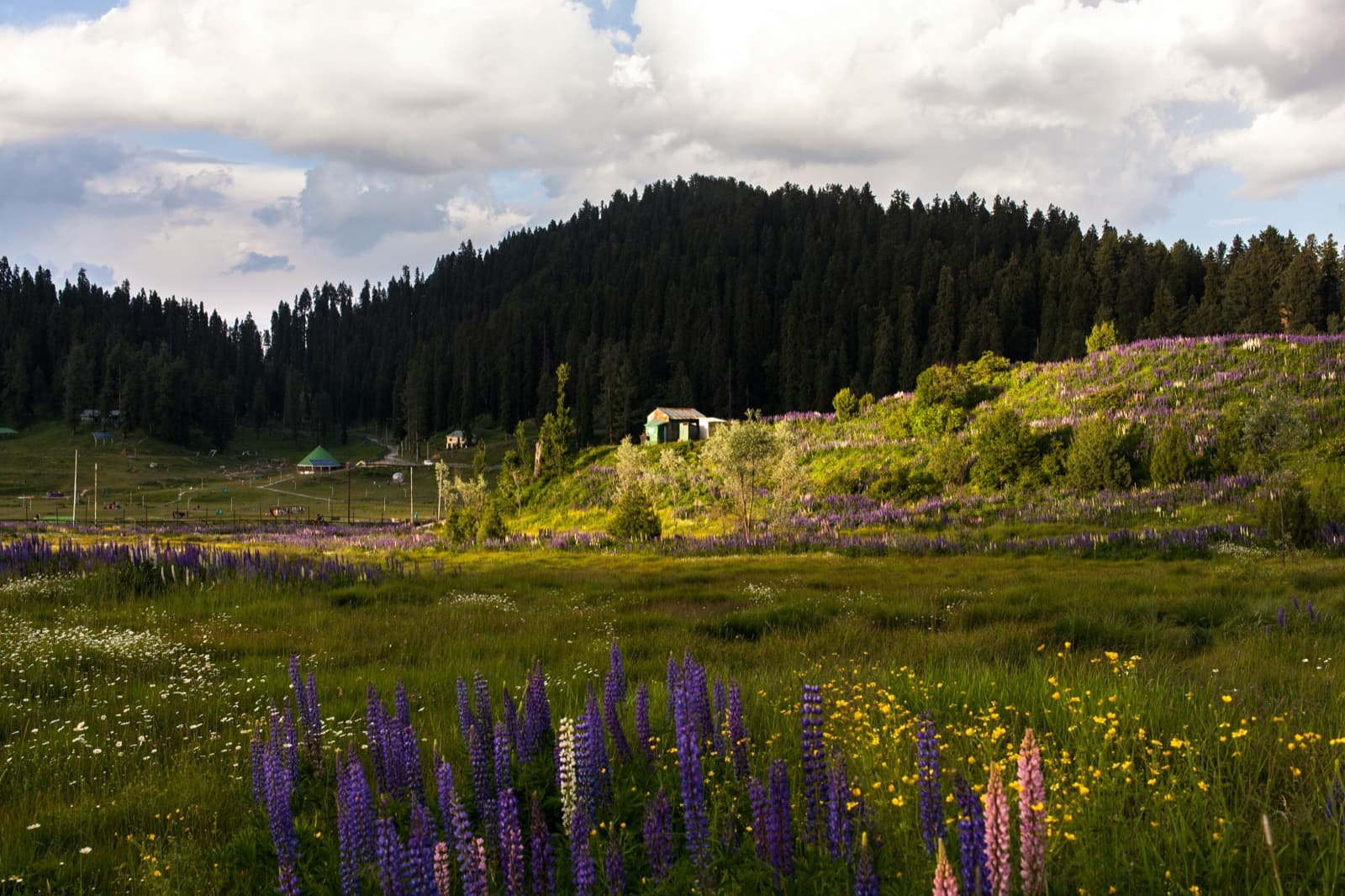 Paradise of Kashmir โ view 4
