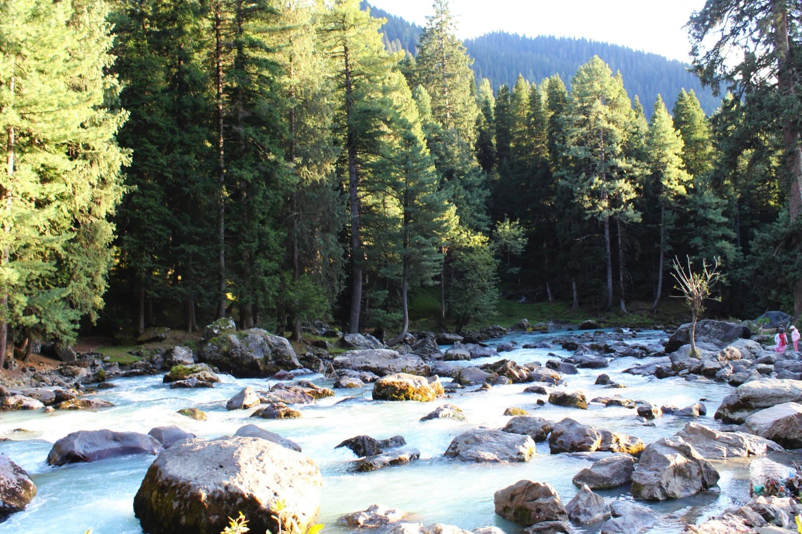 Paradise of Kashmir โ view 2