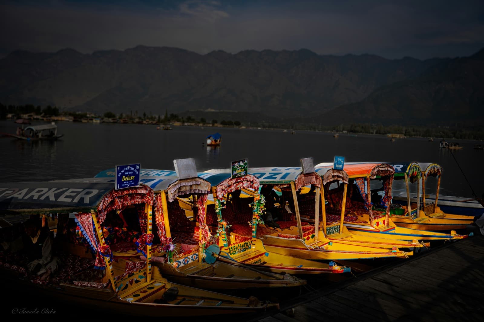 Paradise of Kashmir โ view 5