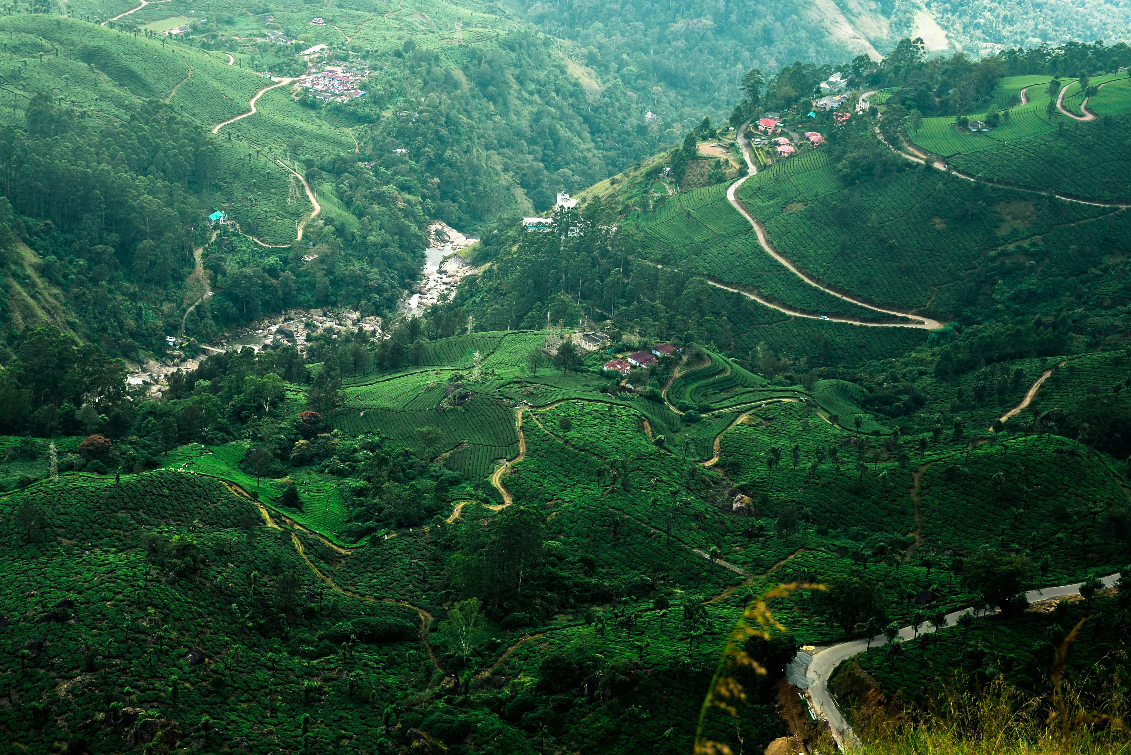 Kerala Escape β view 3