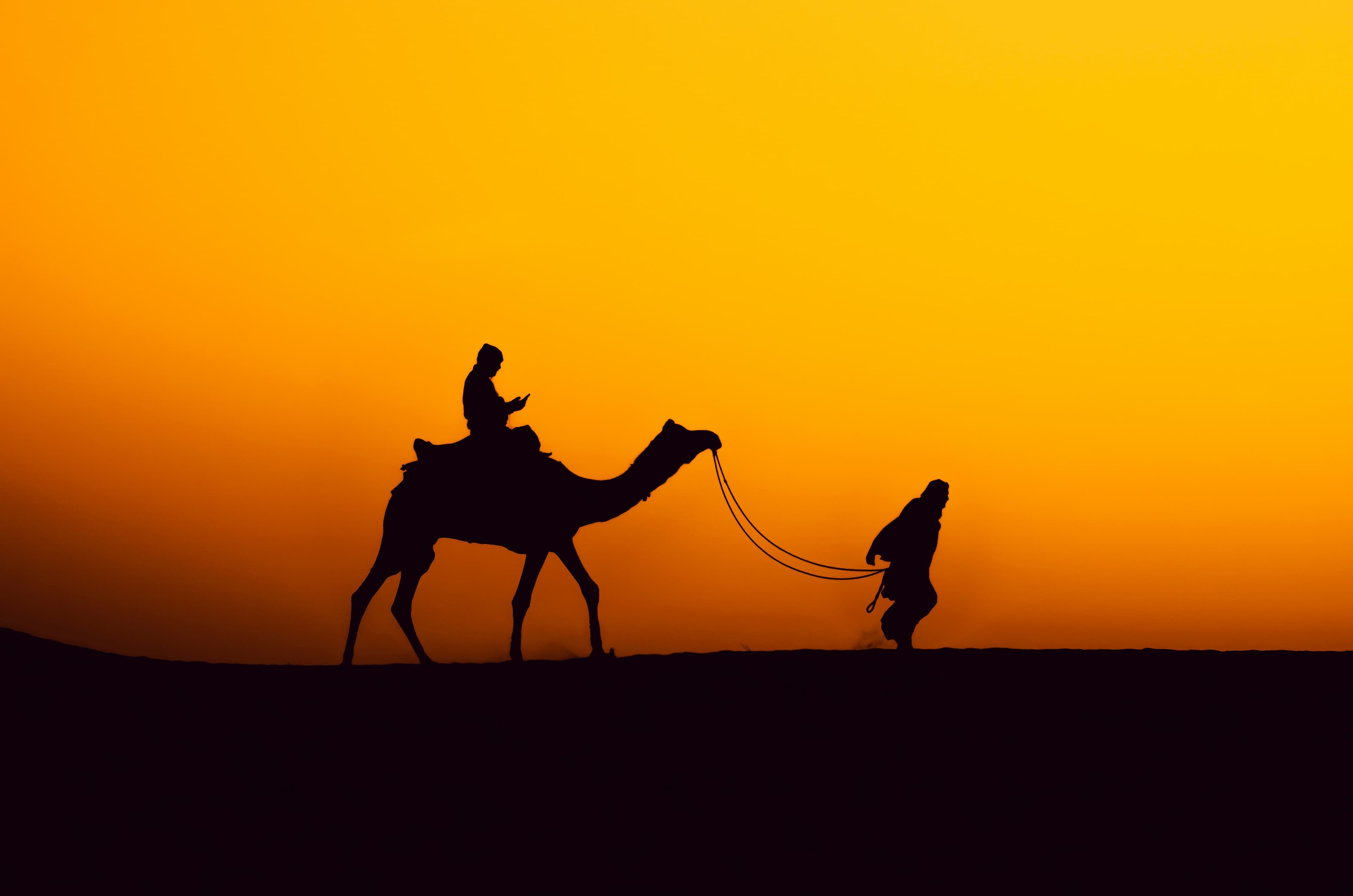Rajasthan — Royal Desert Circuit