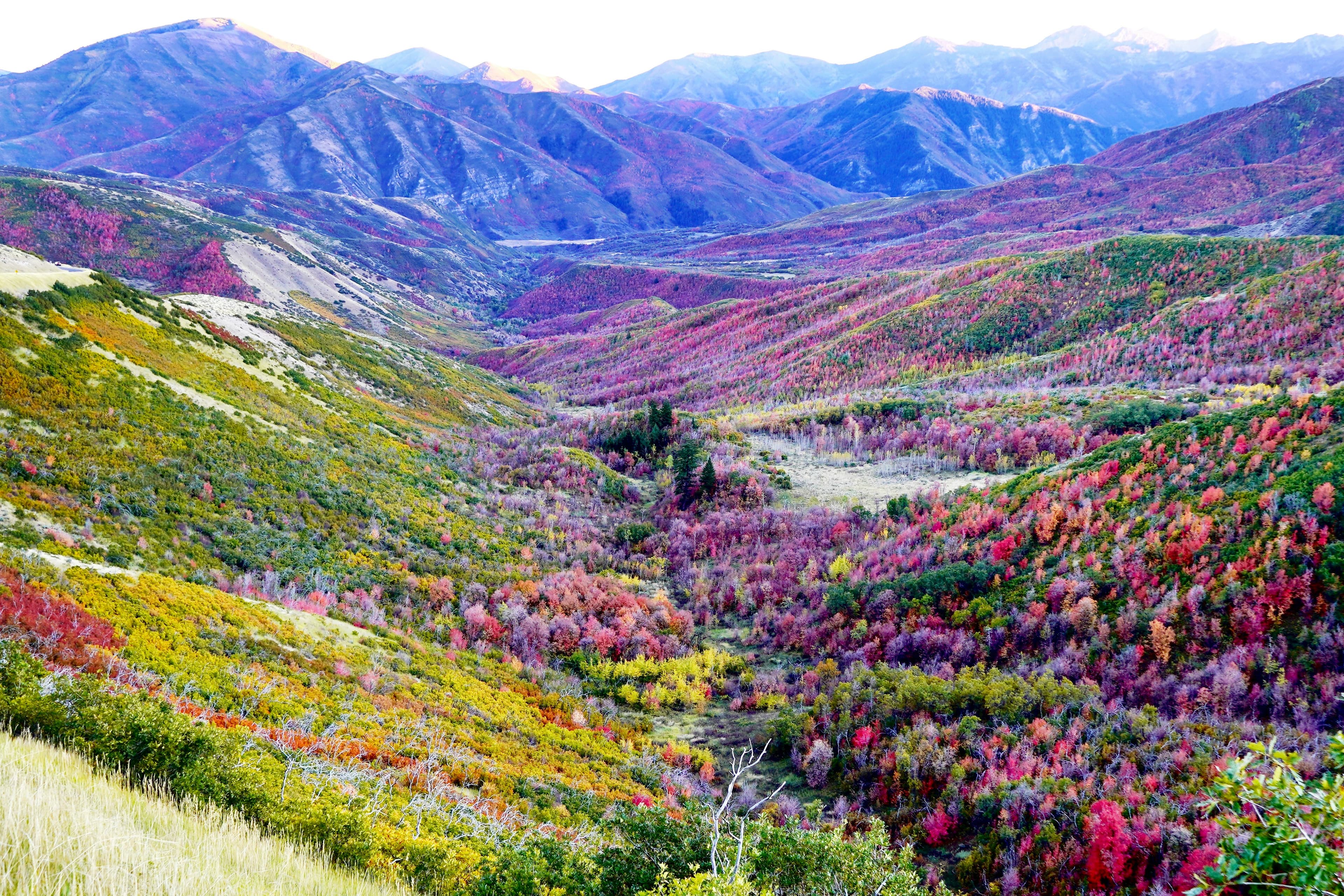 Valley of Flowers Trek β view 3